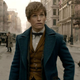 Fantastic Beasts And Where To Find Them